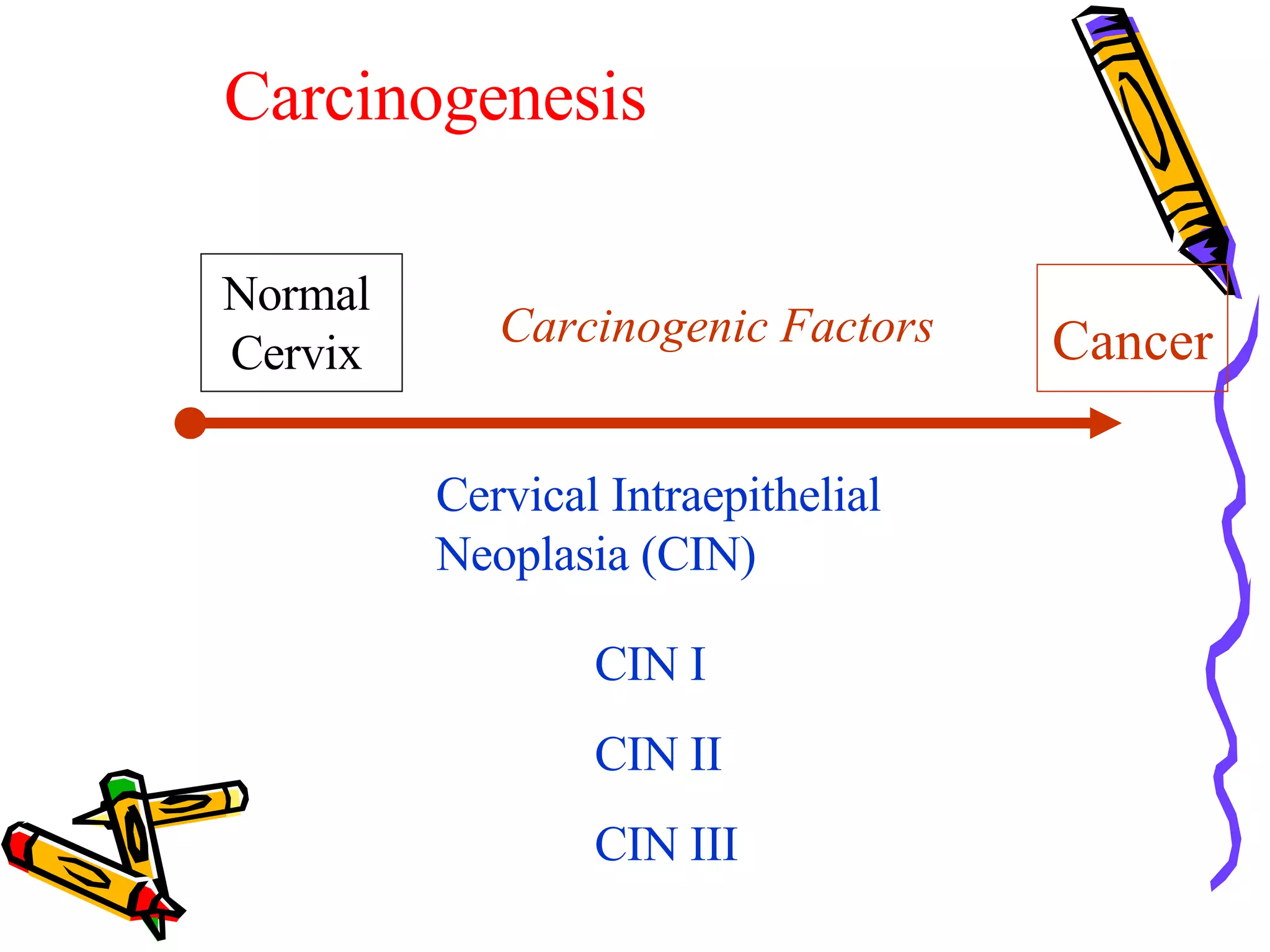 Pre-invasive and Invasive Lesions of the Cervix | PPT