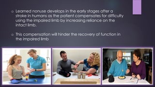 o Learned nonuse develops in the early stages after a
stroke in humans as the patient compensates for difficulty
using the...