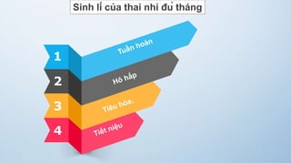 Sinh lí của thai nhi đủ tháng
1
2
3
4
 