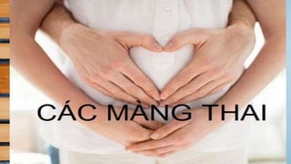 đặc điểm thai nhi và phần phụ đủ tháng