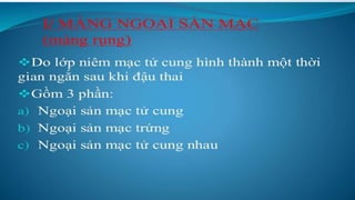 đặc điểm thai nhi và phần phụ đủ tháng
