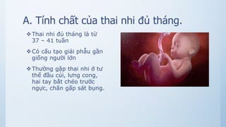 A. Tính chất của thai nhi đủ tháng.
Thai nhi đủ tháng là từ
37 – 41 tuần
Có cấu tạo giải phẫu gần
giống người lớn
Thường gặp thai nhi ở tư
thế đầu cúi, lưng cong,
hai tay bắt chéo trước
ngực, chân gấp sát bụng.
 