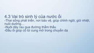 4.3 Vai trò sinh lý của nước ối
-Thai sống phát triển, nơi bảo vệ, giúp chỉnh ngôi, giữ nhiệt,
nuôi dưỡng…
-Nuôi dây rau qua đường thẩm thấu
-Đầu ối giúp cổ tử cung mở trong chuyển dạ
 