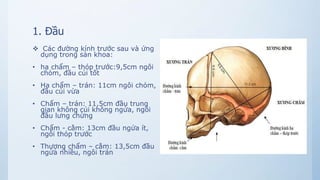 1. Đầu
 Các đường kính trước sau và ứng
dụng trong sản khoa:
• hạ chẩm – thóp trước:9,5cm ngôi
chỏm, đầu cúi tốt
• Hạ chẩm – trán: 11cm ngôi chỏm,
đầu cúi vừa
• Chẩm – trán: 11,5cm đầu trung
gian không cúi không ngửa, ngôi
đầu lưng chừng
• Chẩm - cằm: 13cm đầu ngửa ít,
ngôi thóp trước
• Thượng chẩm – cằm: 13,5cm đầu
ngửa nhiều, ngôi trán
 
