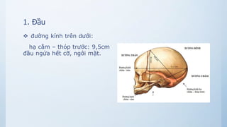 1. Đầu
 đường kính trên dưới:
hạ cằm – thóp trước: 9,5cm
đầu ngửa hết cỡ, ngôi mặt.
 