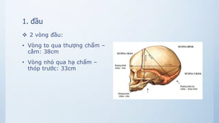 1. đầu
 2 vòng đầu:
• Vòng to qua thượng chẩm –
cằm: 38cm
• Vòng nhỏ qua hạ chẩm –
thóp trước: 33cm
 