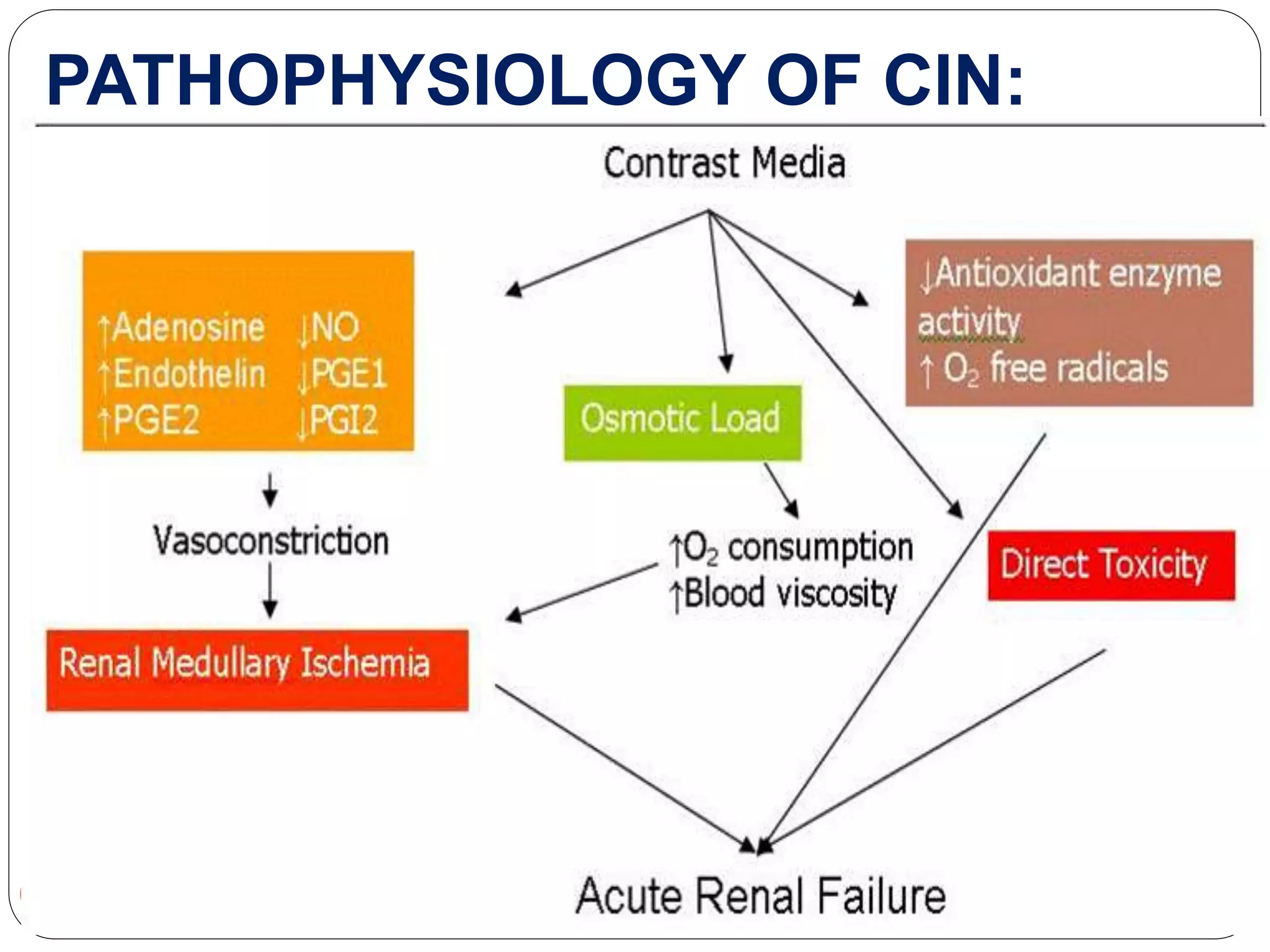 CONTRAST INDUCED NEPHROPATHY | PPTX