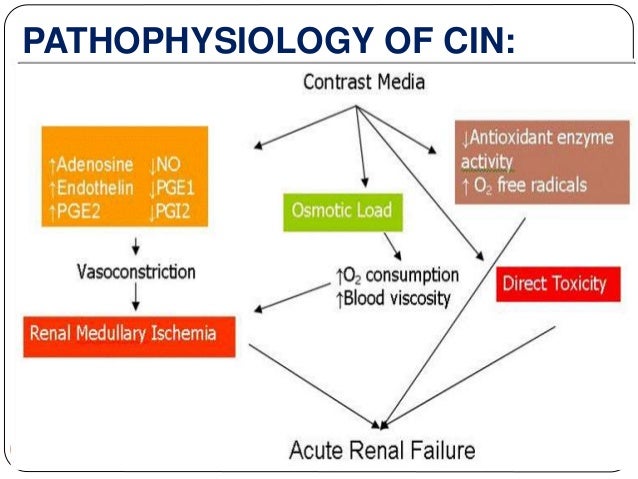 CONTRAST INDUCED NEPHROPATHY