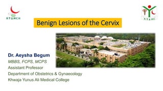 Benign Lesions of the Cervix
Dr. Aeysha Begum
MBBS, FCPS, MCPS
Assistant Professor
Department of Obstetrics & Gynaecology
Khwaja Yunus Ali Medical College
 