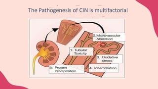 The Pathogenesis of CIN is multifactorial
 