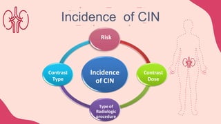 Incidence
of CIN
Risk
Incidence of CIN
Contrast
Dose
Type of
Radiologic
procedure
Contrast
Type
 