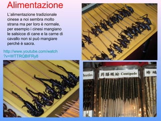 Alimentazione
 L’alimentazione tradizionale
 cinese a noi sembra molto
 strana ma per loro è normale,
 per esempio i cinesi mangiano
 le salsicce di cane e la carne di
 cavallo non si può mangiare
 perché è sacra.
http://www.youtube.com/watch
?v=WTTRQBIFRy8
 