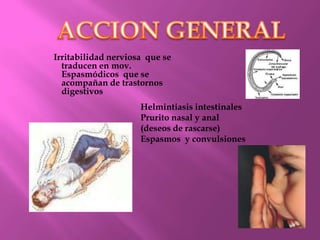 Irritabilidad nerviosa que se
traducen en mov.
Espasmódicos que se
acompañan de trastornos
digestivos
Helmintiasis intestinales
Prurito nasal y anal
(deseos de rascarse)
Espasmos y convulsiones
