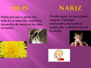 Dolor por leer o mirar fijo ,
todo lo ve amarillo, fotofobia,
sensación de arena en los ojos,
ve turbio.
Prurito nasal se rasca hasta
sangrar. Violentos
estornudos, secreción al
medio día y obstrucción en
la noche.