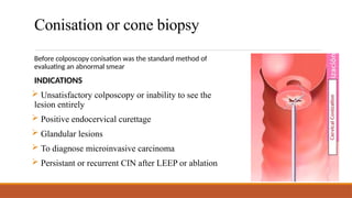 Premalingnant lesions of the cervix, CIN | PPTX