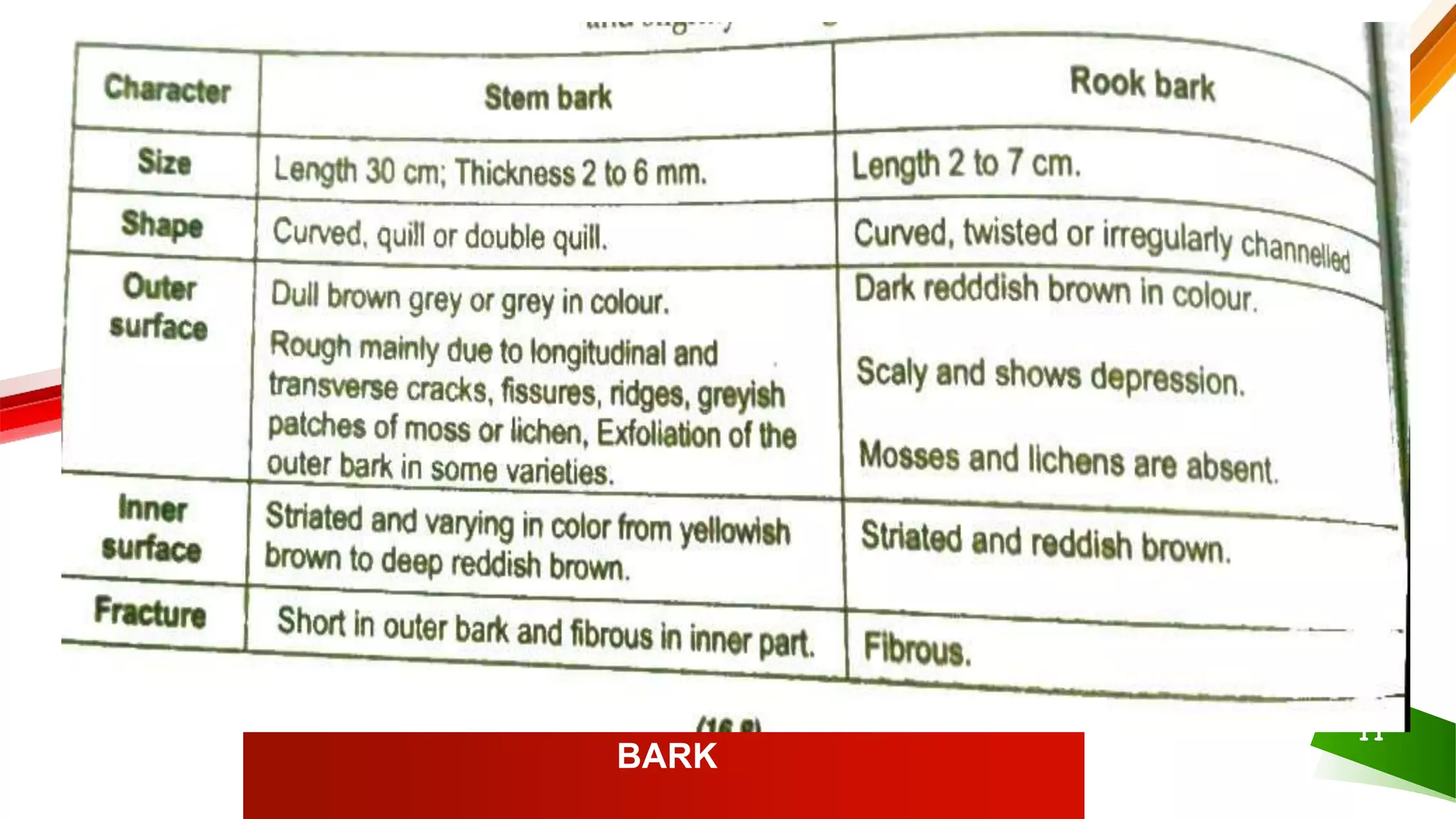 CHARACTERS OF STEM BARK AND ROOT
BARK
11
 