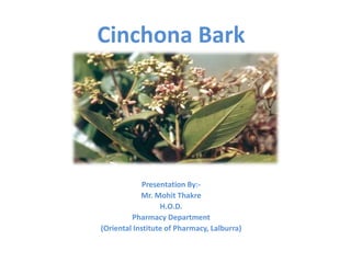 Cinchona Bark
Presentation By:-
Mr. Mohit Thakre
H.O.D.
Pharmacy Department
(Oriental Institute of Pharmacy, Lalburra)
 