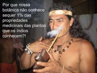 Por que nossa
botânica não conhece
sequer 1% das
propriedades
medicinais das plantas
que os índios
conhecem?!

 