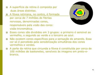 41
 A superfície da retina é composta por
duas áreas distintas.
 A fóvea retiniana, no centro, é formada
por cerca de 7 milhões de fibrilas
nervosas, denominadas cones,
responsáveis pala visão das cores:
visão tricromática.
 Esses cones são divididos em 3 grupos: o primeiro é sensível ao
vermelho, o segundo ao verde e o terceiro ao azul.
 Não existem cones específicos para a sensação do amarelo. Essa
cor só é percebida pela sensibilização simultânea dos cones
vermelhos e verdes.
 A parte da retina que circunda a fóvea é constituída por cerca de
100 milhões de bastonetes, sensíveis às imagens em preto-e-
branco.
 