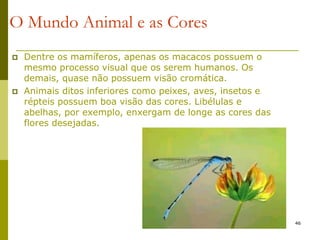 46
O Mundo Animal e as Cores
 Dentre os mamíferos, apenas os macacos possuem o
mesmo processo visual que os serem humanos. Os
demais, quase não possuem visão cromática.
 Animais ditos inferiores como peixes, aves, insetos e
répteis possuem boa visão das cores. Libélulas e
abelhas, por exemplo, enxergam de longe as cores das
flores desejadas.
 