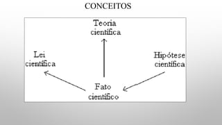 CONCEITOS
✓HIPÓTESE: RESPOSTA PROVISÓRIA A UMA DETERMINADA
PERGUNTA. É UMA TENTATIVA DE EXPLICAÇÃO PARA UM
FENÔMENO.
✓TEORIA CIENTÍFICA: É UM CONJUNTO DE CONHECIMENTOS
BEM ESTABELECIDOS E COMPROVADOS. EX TEORIA DA
EVOLUÇÃO DE DARWIN.
✓LEI: CONJUNTO DE CONHECIMENTO COM APLICAÇÃO
UNIVERSAL, COM REGULARIDADE. EX: LEI DA GRAVIDADE.
 