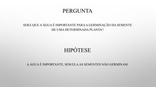 PERGUNTA
SERÁ QUE A ÁGUA É IMPORTANTE PARAA GERMINAÇÃO DA SEMENTE
DE UMA DETERMINADA PLANTA?
HIPÓTESE
A ÁGUA É IMPORTANTE, SEM ELAAS SEMENTES NÃO GERMINAM.
 