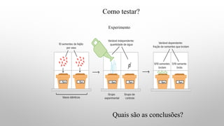 Como testar?
Quais são as conclusões?
Experimento
 