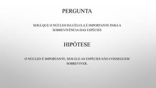 PERGUNTA
SERÁ QUE O NÚCLEO DA CÉLULA É IMPORTANTE PARAA
SOBREVIVÊNCIA DAS ESPÉCIES
HIPÓTESE
O NÚCLEO É IMPORTANTE, SEM ELE AS ESPÉCIES NÃO CONSEGUEM
SOBREVIVER.
 
