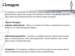 Clonagem
• A clonagem é a produção de indivíduos, células, animais, entre outros,
geneticamente iguais. Este mesmo mecanismo de “clones” é produzido através de
uma célula ancestral/principal de um animal, pessoa ou planta.
• Tipos de Clonagem:
• Induzida artificialmente – Retira-se o núcleo da célula e a membrana do óvulo, e
junta-se os 2 numa barriga de alúguer.
• Embrionária/reprodutiva – Consiste na multiplicação dos embriões dos animais
para se criarem gémeos, entre outros (juntando a célula somática com o óvulo
para as duas se desenvolverem).
• Terapêutica – É a produção, saudável, do tecido ou órgão de uma pessoa doente
para transplante (sendo elas as células-tronco embrionárias)
 
