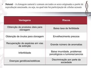 • Natural – A clonagem natural é comum em todos os seres originados a partir de
reprodução assexuada, ou seja, na qual não há participação de células sexuais.
Vantagens Riscos
Obtenção de produtos úteis para
clonagem
Baixa taxa de fertilidade
Obtenção de óvulos para clonagem Envelhecimento precoce
Recuperação de espécies em vias
de extinção
Grande número de anomalias
Infertilidade
Baixa imunidade, problemas
psicológicos e tumores/cancros
Doenças genéticas/estéticas
Discriminação por parte da
sociedade
 