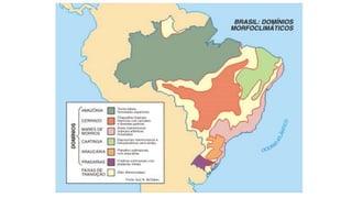 Ciência geográfica e conceitos da geografia