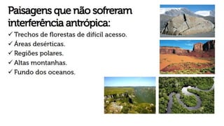 Ciência geográfica e conceitos da geografia