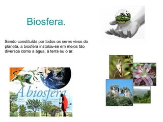 Biosfera.
Sendo constituída por todos os seres vivos do
planeta, a biosfera instalou-se em meios tão
diversos como a água, a terra ou o ar.
 