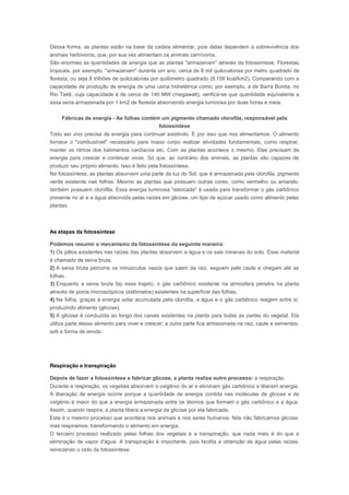 Dessa forma, as plantas estão na base da cadeia alimentar, pois delas dependem a sobrevivência dos
animais herbívoros, que, por sua vez alimentam os animais carnívoros.
São enormes as quantidades de energia que as plantas "armazenam" através da fotossíntese. Florestas
tropicais, por exemplo, "armazenam" durante um ano, cerca de 8 mil quilocalorias por metro quadrado de
floresta, ou seja 8 trilhões de quilocalorias por quilômetro quadrado (8.109 kcal/km2). Comparando com a
capacidade de produção de energia de uma usina hidrelétrica como, por exemplo, a de Barra Bonita, no
Rio Tietê, cuja capacidade é de cerca de 140 MW (megawatt), verifica-se que quantidade equivalente a
essa seria armazenada por 1 km2 de floresta absorvendo energia luminosa por duas horas e meia.

     Fábricas de energia - As folhas contém um pigmento chamado clorofila, responsável pela
                                           fotossíntese
Todo ser vivo precisa de energia para continuar existindo. É por isso que nos alimentamos. O alimento
fornece o "combustível" necessário para nosso corpo realizar atividades fundamentais, como respirar,
manter os ritmos dos batimentos cardíacos etc. Com as plantas acontece o mesmo. Elas precisam de
energia para crescer e continuar vivas. Só que, ao contrário dos animais, as plantas são capazes de
produzir seu próprio alimento. Isso é feito pela fotossíntese.
Na fotossíntese, as plantas absorvem uma parte da luz do Sol, que é armazenada pela clorofila, pigmento
verde existente nas folhas. Mesmo as plantas que possuem outras cores, como vermelho ou amarelo,
também possuem clorofila. Essa energia luminosa "estocada" é usada para transformar o gás carbônico
presente no ar e a água absorvida pelas raízes em glicose, um tipo de açúcar usado como alimento pelas
plantas.



As etapas da fotossíntese

Podemos resumir o mecanismo da fotossíntese da seguinte maneira:
1) Os pêlos existentes nas raízes das plantas absorvem a água e os sais minerais do solo. Esse material
é chamado de seiva bruta.
2) A seiva bruta percorre os minúsculos vasos que saem da raiz, seguem pelo caule e chegam até as
folhas.
3) Enquanto a seiva bruta faz esse trajeto, o gás carbônico existente na atmosfera penetra na planta
através de poros microscópicos (estômatos) existentes na superfície das folhas.
4) Na folha, graças à energia solar acumulada pela clorofila, a água e o gás carbônico reagem entre si,
produzindo alimento (glicose).
5) A glicose é conduzida ao longo dos canais existentes na planta para todas as partes do vegetal. Ela
utiliza parte desse alimento para viver e crescer; a outra parte fica armazenada na raiz, caule e sementes,
sob a forma de amido.




Respiração e transpiração

Depois de fazer a fotossíntese e fabricar glicose, a planta realiza outro processo: a respiração.
Durante a respiração, os vegetais absorvem o oxigênio do ar e eliminam gás carbônico e liberam energia.
A liberação de energia ocorre porque a quantidade de energia contida nas moléculas de glicose e de
oxigênio é maior do que a energia armazenada entre os átomos que formam o gás carbônico e a água.
Assim, quando respira, a planta libera a energia da glicose por ela fabricada.
Este é o mesmo processo que acontece nos animais e nos seres humanos. Nós não fabricamos glicose,
mas respiramos, transformando o alimento em energia.
O terceiro processo realizado pelas folhas dos vegetais é a transpiração, que nada mais é do que a
eliminação de vapor d'água. A transpiração é importante, pois facilita a obtenção de água pelas raízes,
reiniciando o ciclo da fotossíntese.
 