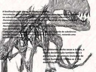 A fossilização pode dar-se de diferentes modos:
-Incrustação- ocorre quando substâncias trazidas pelas águas que se infiltram
no subsolo depositam-se em torno do animal ou planta, revestindo
-Permineralização- ocorre quando substâncias minerais são depositadas em
cavidades existentes em ossos e troncos.
-Recristalização-rearranjo da estrutura cristalina de um mineral, dando-lhe
mais estabilidade.
-Carbonificação ou incarbonização-ocorre quando há perda de substâncias
voláteis (oxigénio, hidrogénio e nitrogénio principalmente), restando uma
película de carbono.

Em ambientes muito secos e áridos, a
rápida desidratação também leva à
preservação de animais (inclusive de
corpos humanos). Chama-se a isso
mumificação.

 