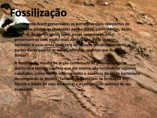 Geralmente ficam preservadas as estruturas mais resistentes do
animal ou planta, as chamadas partes duras, como dentes, ossos,
conchas. As partes moles (pele, vasos sanguíneos, etc.)
preservam-se com muito mais dificuldade. Pode ocorrer
também, o caso ainda mais raro de ficarem preservadas tanto as
partes duras quanto as moles, como os insectos que ficam no
âmbar.
A fossilização resulta da acção combinada de processos físicos,
químicos e biológicos. Para que ela ocorra, são necessárias algumas
condições, como rápido soterramento e ausência de acção bacteriana
decompondo os tecidos. Também influenciam na formação dos
fósseis o modo de vida do animal e a composição química de seu
esqueleto.

 