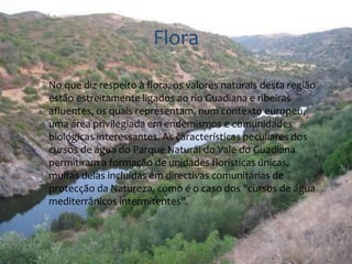 Flora 
 No que diz respeito à flora, os valores naturais desta região 
estão estreitamente ligados ao rio Guadiana e ribeiras 
afluentes, os quais representam, num contexto europeu, 
uma área privilegiada em endemismos e comunidades 
biológicas interessantes. As características peculiares dos 
cursos de água do Parque Natural do Vale do Guadiana 
permitiram a formação de unidades florísticas únicas, 
muitas delas incluídas em directivas comunitárias de 
protecção da Natureza, como é o caso dos "cursos de água 
mediterrânicos intermitentes". 
 