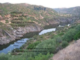  Introdução 
 Parque Natural 
 Localização 
 Habitantes e Profissões 
 Fauna e Flora 
 Fauna 
 Peixes; 
 Anfíbios 
 Répteis 
 Avifauna 
 Mamíferos 
 Flora 
 Vegetação que ladeia os cursos de água 
 Vegetação em encostas declivosas 
* Conclusão 
Índice 
 