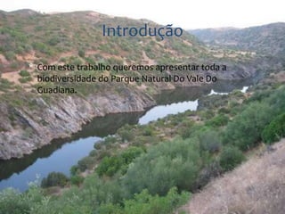Introdução 
* Com este trabalho queremos apresentar toda a 
biodiversidade do Parque Natural Do Vale Do 
Guadiana. 
 