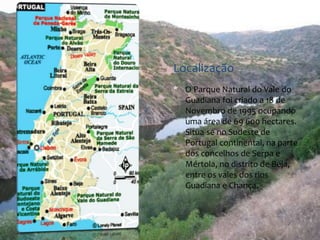 Localização 
* O Parque Natural do Vale do 
Guadiana foi criado a 18 de 
Novembro de 1995 ocupando 
uma área de 69 600 hectares. 
Situa-se no Sudeste de 
Portugal continental, na parte 
dos concelhos de Serpa e 
Mértola, no distrito de Beja, 
entre os vales dos rios 
Guadiana e Chança. 
 