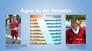 11
Água no ser humano
Imagem: Ümit Yaldiz, 2005, uploader
original foi Immanuel Giel / GNU Free
Documentation License.
Imagem: by Koshyk, disponibilizada
por Isageum / Creative Commons
Attribution 2.0 Generic license.
0 – 2 anos
2 – 5 anos
5 – 10 anos
10 – 15 anos
15 – 20 anos
20 – 40 anos
40 – 60 anos
> 60 anos
75 a 80
70 a 75
65 a 70
63 a 65
60 a 63
58 a 60
50 a 58
< 58
IDADE DO SER HUMANO PERCENTUAL DE ÁGUA NO
ORGANISMO
 
