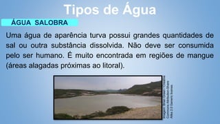 Uma água de aparência turva possui grandes quantidades de
sal ou outra substância dissolvida. Não deve ser consumida
pelo ser humano. É muito encontrada em regiões de mangue
(áreas alagadas próximas ao litoral).
Tipos de Água
ÁGUA SALOBRA
Imagem:
Brian
Green
/
Creative
Commons
Attribution-Share
Alike
2.0
Generic
license.
 
