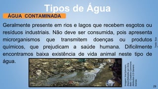 29
Geralmente presente em rios e lagos que recebem esgotos ou
resíduos industriais. Não deve ser consumida, pois apresenta
microrganismos que transmitem doenças ou produtos
químicos, que prejudicam a saúde humana. Dificilmente
encontramos baixa existência de vida animal neste tipo de
água.
Tipos de Água
ÁGUA CONTAMINADA
Texto:
Sua
Imagem:
hris1johnson,
disponibilizada
por
Arria
Belli
/
Creative
Commons
Attribution
2.0
Generic
license.
 