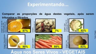 Imagem:
Disponibilizada
por
Dodo
/
Domínio
Público.
7%
8
Experimentando...
Comparar as proporções de água destes vegetais, após serem
triturados e filtrados.
Água nos Seres Vivos - VEGETAIS
Imagem:
Kander
/
Domínio
Público.
88%
Imagem:
Herr
stahlhoefer
/
Domínio
Público.
83%
90%
Imagem:
Disponibilizada
por
AlbertCahalan
/
Domínio
Público.
Texto:
Projeto
87%
Imagem:
User
Anthony
DiPierro
no
en.wikipedia
/
Domínio
Público.
92%
Imagem:
liz
west
de
Boxborough,
MA,
disponibilizada
por
Palosirkka
/
Creative
Commons
Attribution
2.0
Generic
license.
 