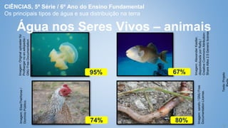 9
Água nos Seres Vivos – animais
Imagem:
Original
uploader
foi
Profberger
no
en.wikipedia
/
GNU
Free
Documentation
License.
95%
Imagem:
Alexander
Kastler,
disponibilizada
por
Rafiq
/
Creative
Commons
Attribution-
Share
Alike
2.5
Generic
license.
67%
Imagem:
sarefo
/
GNU
Free
Documentation
License.
80%
Imagem:
EliasTheHorse
/
Domínio
Público.
74%
Texto:
Projeto
CIÊNCIAS, 5ª Série / 6º Ano do Ensino Fundamental
Os principais tipos de água e sua distribuição na terra
 