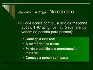 A droga _  No cérebro O que ocorre com o usuário da maconha após o THC atingir os neurônios (efeitos variam de pessoa para pessoa): Começa a rir à toa; A memória fica fraca; Perde o equilíbrio e coordenação motora; Começa a comer sem parar. Maconha _ 