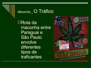 Rota da maconha entre Paraguai e São Paulo envolve diferentes tipos de traficantes O Tráfico Maconha _ 
