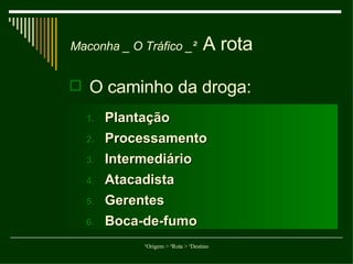 A rota Maconha _ O Tráfico _² O caminho da droga: Plantação Processamento Intermediário Atacadista Gerentes Boca-de-fumo 