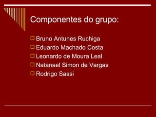 Componentes do grupo: Bruno Antunes Ruchiga Eduardo Machado Costa Leonardo de Moura Leal Natanael Simon de Vargas Rodrigo Sassi 