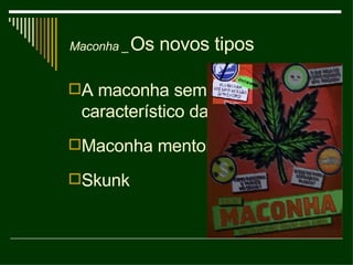 Os novos tipos A maconha sem o cheiro característico da erva Maconha mentolada Skunk Maconha _ 